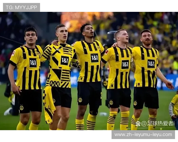 与德甲相关的球队有哪些及其联赛表现